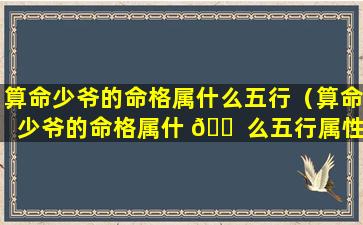 算命少爷的命格属什么五行（算命少爷的命格属什 🐠 么五行属性）